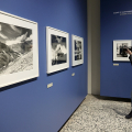 Michele Pellegrino - Fotografie 1967-2023