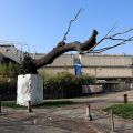 GAM – Galleria Civica d’Arte Moderna e Contemporanea di Torino