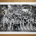 Yellow Movement -  Enrico Gili