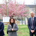 Piazza d'Armi: gli assessori Foglietta e Tresso sono presenti alla piantumazione di alberi offerti da Suzuki e Torino FC alla città