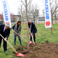 Piazza d'Armi: piantumazione di alberi offerti da Suzuki e Torino FC alla città