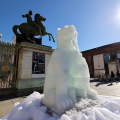 Un orso di ghiaccio in piazza Castello - Simbolo della giornata della terra di Torino 2024