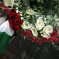 1603_tricolore_4281