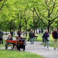 Il rinnovato giardino Nuova Delhi