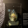 Maschera dell'uomo anfibio - La forma dell'acqua (2017)