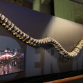 Tentacolo del Dottor Octopus - Spider-Man 2 (2004)