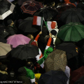 Tricolore fra gli ombrelli