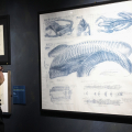 Beyond Alien: Il Mondo di Giger al Mastio della Cittadella di Torino