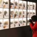 Materia. Forma del Tempo. Il nuovo allestimento del Museo Egizio