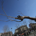 Il Limine di Giuseppe Penone alla GAM