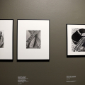 Tina Modotti, l'opera a CAMERA - Centro Italiano per la Fotografia
