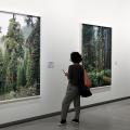 Mitch Epstein. American nature