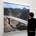 Mitch Epstein. American nature