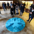 Palazzo Madama: Crossing. Attraversare una collezione