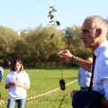 BoscoTo25: al parco Colonnetti un nuovo bosco diffuso grazie a Torino 2025 FISU World University Games