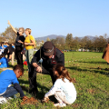 BoscoTo25: al parco Colonnetti un nuovo bosco diffuso grazie a Torino 2025 FISU World University Games