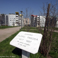 Circoscrizione 3: Giardino Filippo Piredda