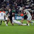 Italia - Nuova Zelanda  11 - 29