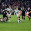 Italia - Nuova Zelanda  11 - 29