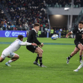 Italia - Nuova Zelanda  11 - 29