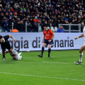 Italia - Nuova Zelanda  11 - 29