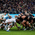 Italia - Nuova Zelanda  11 - 29