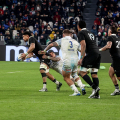 Italia - Nuova Zelanda  11 - 29