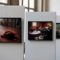 Palazzo Civico, Loggiato Mostra fotografica History of violence di Claudio Craver