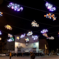 Piazza Foroni, Bouquet di fiori luminosi