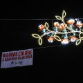Piazza Foroni, Bouquet di fiori luminosi