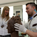 Scolpire il cioccolato