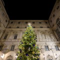 L'albero di Natale allestito nel Cortile d’Onore di Palazzo Civico