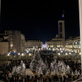 Piazzetta Reale: Boschetto di Natale