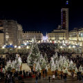 Piazzetta Reale: Boschetto di Natale