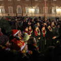 Piazzetta Reale: Inaugurazione Boschetto di Natale