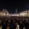 Piazzetta Reale: Inaugurazione Boschetto di Natale