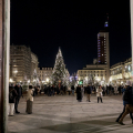 Piazzetta Reale: Boschetto di Natale