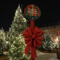 Piazzetta Reale: Boschetto di Natale