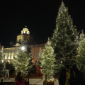 Piazzetta Reale: Boschetto di Natale