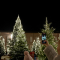 Piazzetta Reale: Boschetto di Natale