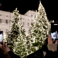 Piazzetta Reale: Boschetto di Natale