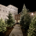 Piazzetta Reale: Boschetto di Natale
