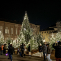 Piazzetta Reale: Boschetto di Natale