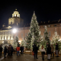Piazzetta Reale: Boschetto di Natale
