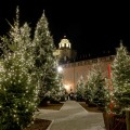 Piazzetta Reale: Boschetto di Natale