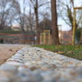 Il Parco del Valentino si rinnova: riaperto il primo viale riqualificato