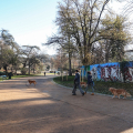 Il Parco del Valentino si rinnova: riaperto il primo viale riqualificato