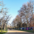 Il Parco del Valentino si rinnova: riaperto il primo viale riqualificato