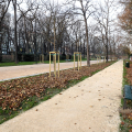 Il Parco del Valentino si rinnova: riaperto il primo viale riqualificato