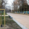 Il Parco del Valentino si rinnova: riaperto il primo viale riqualificato